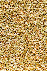raw green buckwheat background, organic vegan food. Texture