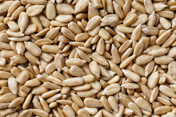 Sunflower seeds background. Macro seed, Organic vegan food.