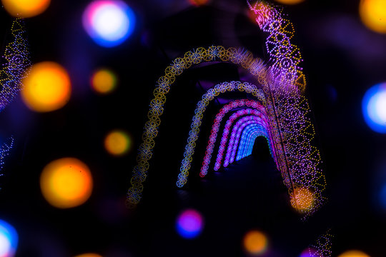 fireworks in the sky