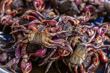 The group of Salted crab or pickled crab