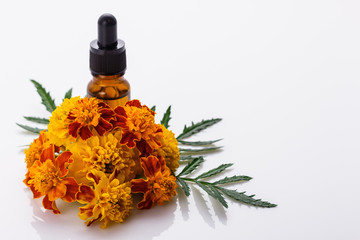 essential oil marigold on a white background