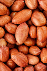 Obraz premium Peanuts, for background or textures. Uncleaned inshell peanuts.