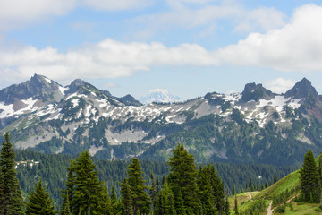 Obraz premium Mount Rainier