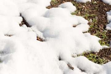 snow on the ground in nature