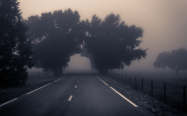Nevoeiro na estrada