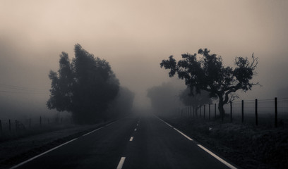 Nevoeiro na estrada