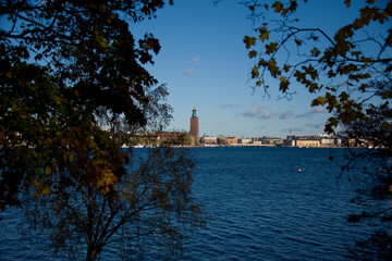 Low sun and long shadows a autumn day in Stockholm with the Town City Hall orange leafs and a blue sky