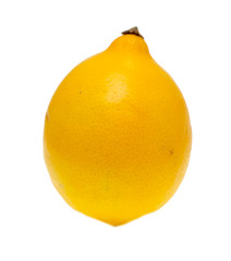 lemon on a white background