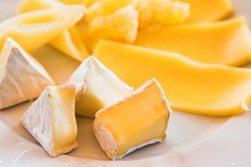 Sliced white mold cheese on plate close
