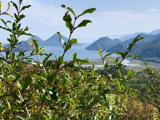 Skutarisee / Skadarsee in Montenegro