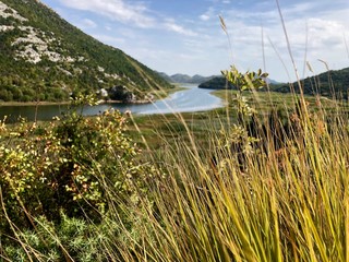 Blick auf Skadar / Skutari See Montenegro und Albanien