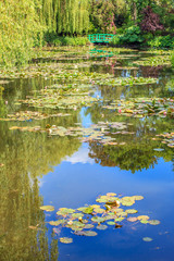 Giverny, jardin d'eau au printemps