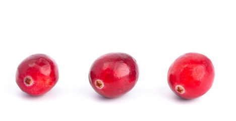 Fresh Red Cranberries on a White Background