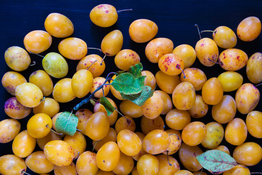Yellow plums on a blue.