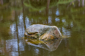Wet stone in water