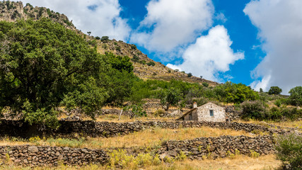 Fototapeta na wymiar Old stone house and walls on mountain in Greece