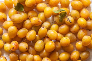 Yellow plums on a white background.