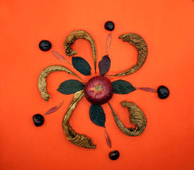 Flat lay autumn round composition with red apple, curved dried leaves and chestnuts on warm red...