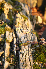 Rocks