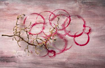 Traces of Wine Glasses on Wooden Desk