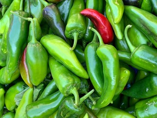 Grüne Paprika Schoten