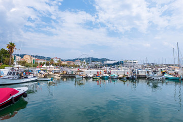 Fototapeta na wymiar Lots of boats in the sea port of Cannes
