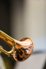 Fototapeta na wymiar A person holding a trumpet