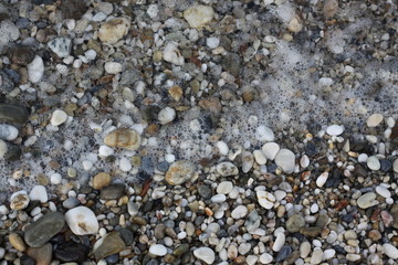 Multisized pebbles on a beach with a foamy sea water over it, horizontal