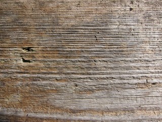 Fototapeta premium Holztextur