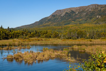 Alaskan landscape in fall color, Brooks River with marsh grasses, Dumpling Mountain and blue sky, Katmai National Park, Alaska, USA
