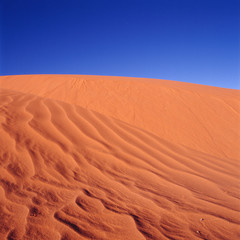 sand dunes in the desert