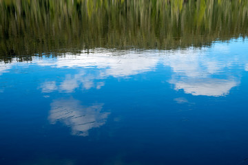 reflection of trees in water