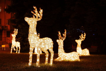 Family of Christmas reindeers (deer with lights) in the garden at night. Christmas decorations....