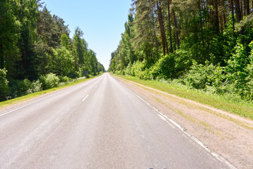 road in the forest
