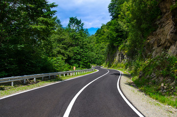 Bends of a mountain road through a beautiful summer forest