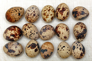 Fototapeta premium Organic Quail Eggs