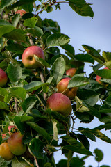 In Polle an der Weser