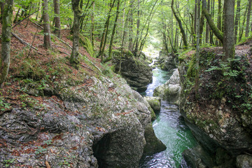 Beautiful Mostnica river surrounded with forest - national park Triglav in Slovenia.