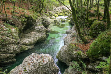 Beautiful Mostnica river surrounded with forest - national park Triglav in Slovenia.