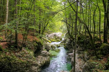 Beautiful Mostnica river surrounded with forest - national park Triglav in Slovenia.