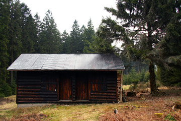 Cabin in the forest