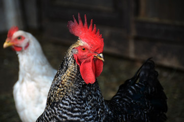 Don´t look at me like that