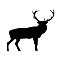 Deer vector silhouette 