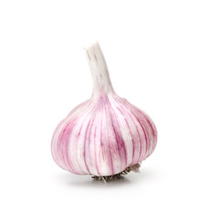 Raw garlic on white.