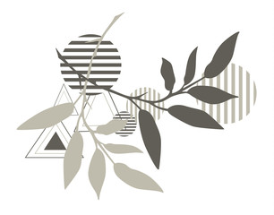 abstract shapes with plants vector