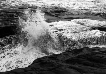 Muriwai Beach Waves