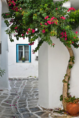 Fototapeta na wymiar Ile grecque, petite rue typique avec bougainvillier