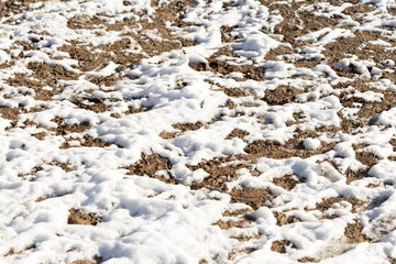 fields under snow
