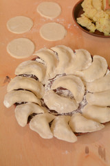 homemade dumpling