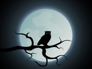 Halloween Eule Hintergrund